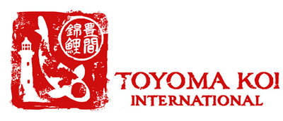 Toyoma Koi Header Logo