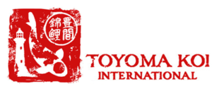Toyoma Koi